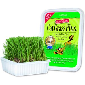 Miracle Care Cat A'bout Herbs & Spices Cat Grass Plus, 5.25-oz container