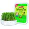 Show in main carousel: Miracle Care Cat A'bout Herbs & Spices Cat Grass Plus, 5.25-oz container slide 4 of 10