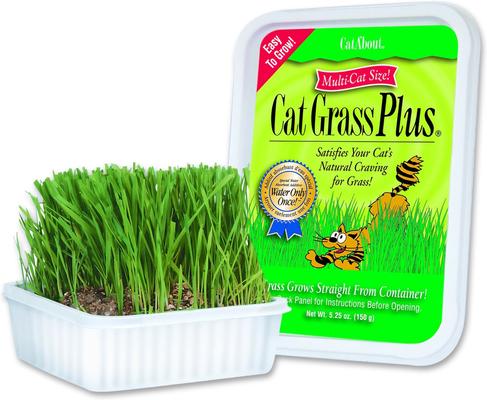 Show full view: Miracle Care Cat A'bout Herbs & Spices Cat Grass Plus, 5.25-oz container slide 4 of 10