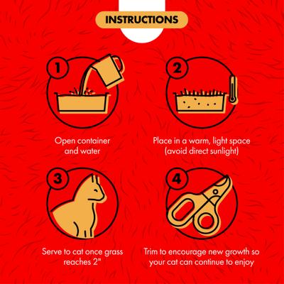 Show full view: Miracle Care Cat A'bout Herbs & Spices Cat Grass Plus, 5.25-oz container slide 6 of 10