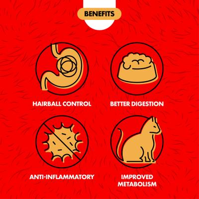 Show full view: Miracle Care Cat A'bout Herbs & Spices Cat Grass Plus, 5.25-oz container slide 5 of 10