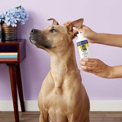 Show full view: Miracle Care R-7 Ear Cleaner Step 2 for Dogs & Cats, 8-fl oz bottle, bundle of 2 slide 4 of 9