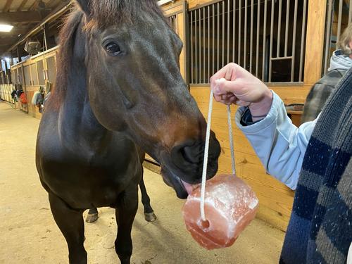 Show full view: Miracle Salt Collective Natural Himalayan Salt Lick, 10-lb block slide 5 of 6