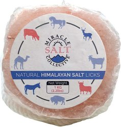 Miracle Salt Collective Natural Himalayan Salt Lick, 2-lb block