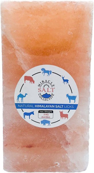 Show full view: Miracle Salt Collective Natural Himalayan Salt Lick, 4.4-lb brick slide 1 of 4
