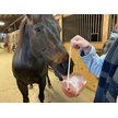 Show in main carousel: Miracle Salt Collective Natural Himalayan Salt Lick, 7-lb block slide 5 of 6