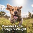 Show in main carousel: Miracle Vet High Calorie Weight Gain Chews 3-in-1 Soft Chew Supplement for Dogs, 8-oz bag slide 4 of 9