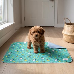 MISOKO Reusable & Washable Dog Pee Pads with Rockets, Green, 2 count, 15.7 x 19.7-in slide 2 of 9