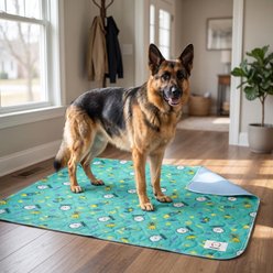 MISOKO Reusable & Washable Dog Pee Pads with Rockets, Green, 2 count, 27.5 x 31.5-in slide 2 of 9