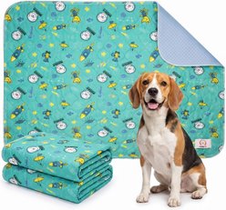 MISOKO Reusable & Washable Dog Pee Pads with Rockets, Green, 2 count, 27.5 x 31.5-in slide 1 of 9