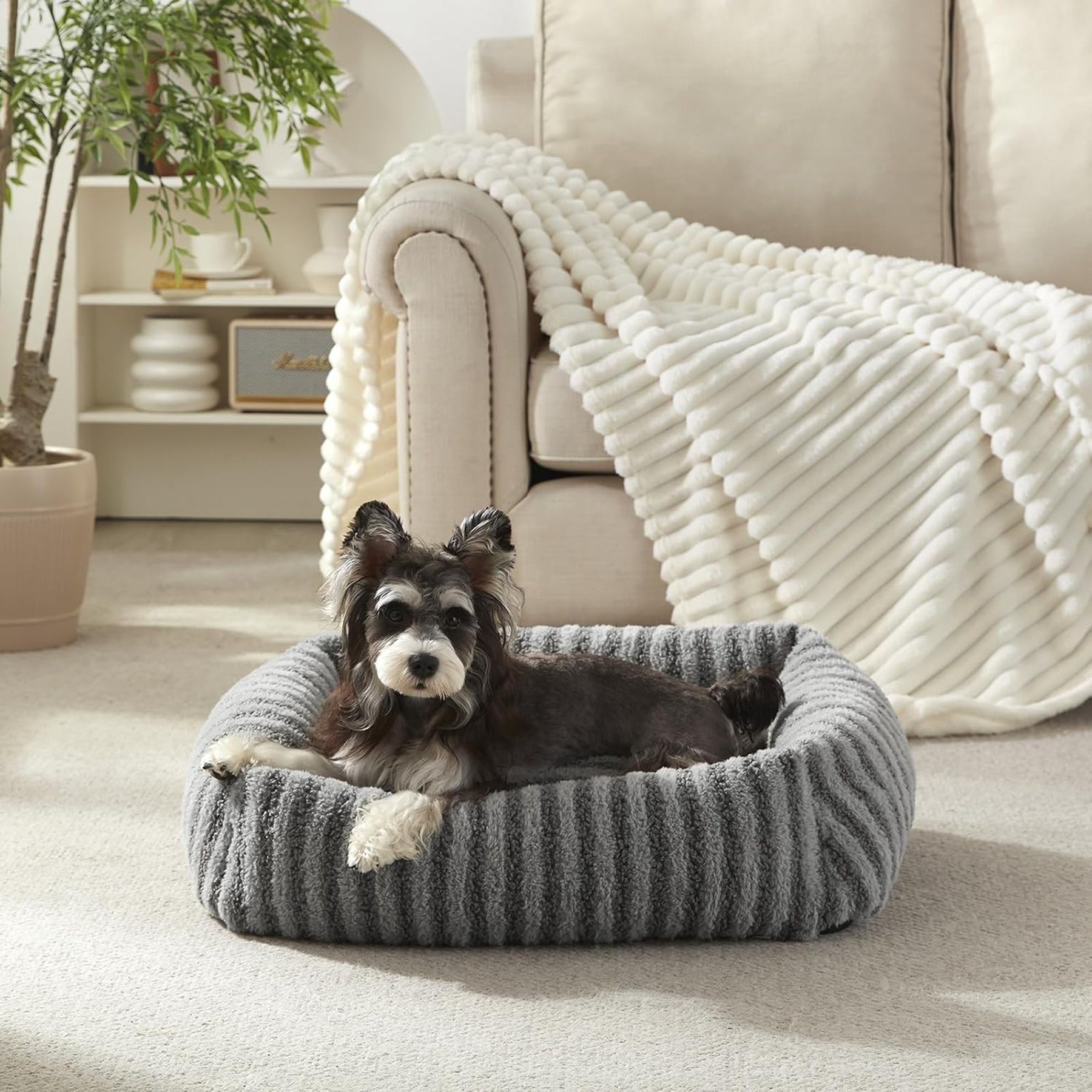 MIXJOY Square Raised Waterproof Dog Bed with Removable Cover & Non-Slip Base, Grey, X-Small: 20 x 19 x 6-in