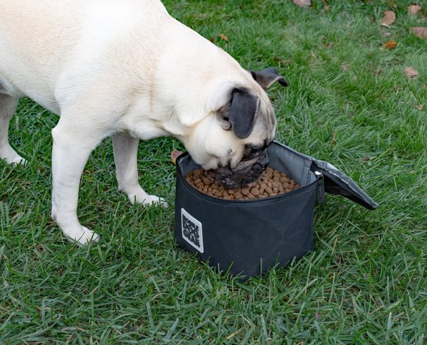 Show full view: Mobile Dog Gear Insulated Food Carriers Dog Car Accessories, Black, Medium slide 3 of 5