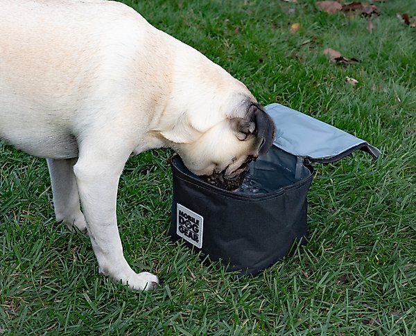 Show full view: Mobile Dog Gear Insulated Food Carriers Dog Car Accessories, Black, Medium slide 5 of 5