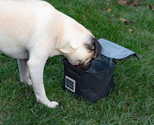 Show full view: Mobile Dog Gear Insulated Food Carriers Dog Car Accessories, Black, Medium slide 5 of 5