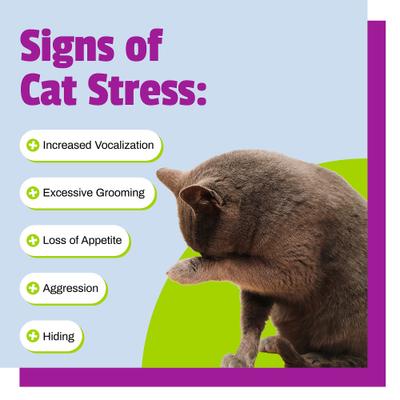 Show full view: Pet Naturals Calming Dog & Cat Chews, 160 count slide 7 of 13