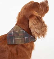 Barbour Tartan Dog Bandana, Classic Tartan, Small/Medium slide 2 of 5