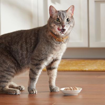 Show full view: Meow Mix Chunks in Gravy with Real Chicken Breast Wet Cat Food, 2.75-oz cup, case of 12 slide 6 of 11