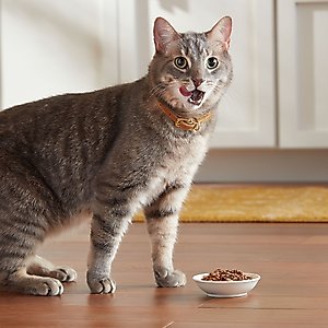 Meow Mix Tender Favorites Poultry & Beef Cat Food Trays Variety Pack, 2.75-oz tray, case of 24