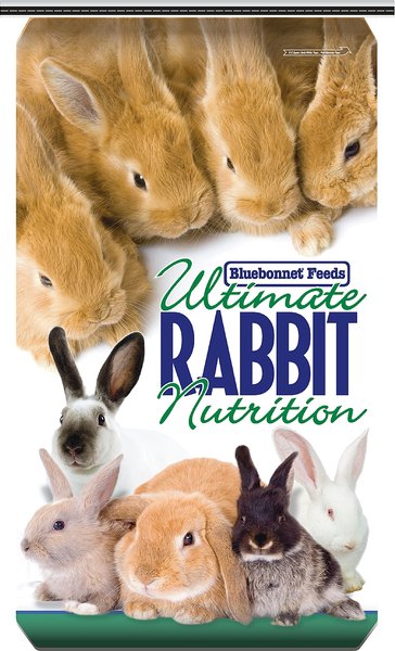 18 protein rabbit feed best sale