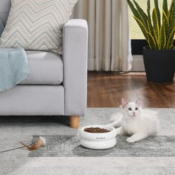 Sam's Pets Tall Tulip Glossy Non-Skid Ceramic Dog & Cat Bowl, 350-mL, White slide 2 of 9