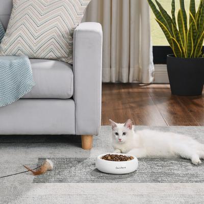 Show full view: Sam's Pets Short Tulip Glossy Non-Skid Ceramic Dog & Cat Bowl, 350-mL, White slide 5 of 6