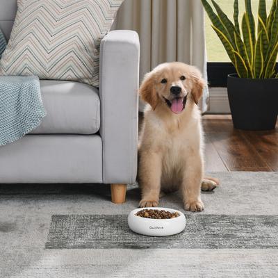 Show full view: Sam's Pets Short Tulip Glossy Non-Skid Ceramic Dog & Cat Bowl, 350-mL, White slide 4 of 6