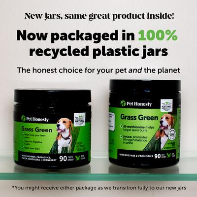 Show full view: Pet Honesty Grass Green Turkey Flavored Soft Chews Digestive Support for Dogs, 270 count slide 9 of 13