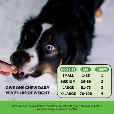 Show full view: Pet Honesty Grass Green Turkey Flavored Soft Chews Digestive Support for Dogs, 270 count slide 6 of 13