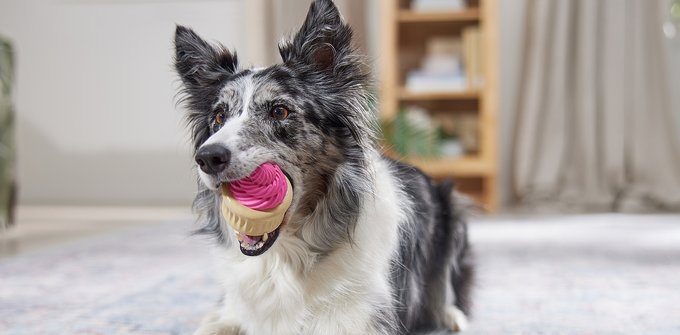 Frisco Peanut Butter Flavored Pretzel Rubber Chew Dog Toy for Heavy Chewers