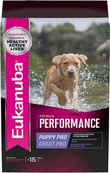 Performance dog food best sale