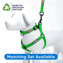 Pawtitas Custom Personalized Recycled Reflective Adjustable Dog Collar, Green, Medium: 13 to 20-in neck, 3/4-in wide slide 2 of 9