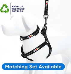 Pawtitas Recycled Reflective Dog Collar, Black, X-Small: 8 to 12-in neck, 3/8-in wide slide 2 of 8