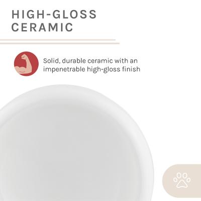 Show full view: Sam's Pets Tall Tulip Glossy Non-Skid Ceramic Dog & Cat Bowl, 350-mL, White slide 9 of 11