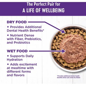 Wellness Complete Health Kitten Variety Pack Grain-Free Canned Cat Food, 3-oz, case of 12