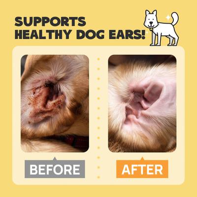 Show full view: HICC PET Antibacterial Ear Rinse with Cotton Swabs, 4-fl oz bottle + Relief Ear Finger Dog Cat & Small Pet Wipes slide 8 of 9