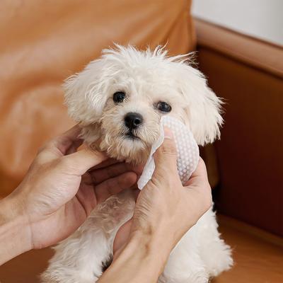 Show full view: HICC PET Gentle Antimicrobial Eye Rinse, 5.1-fl oz bottle + Hypoallergenic Dog & Cat Eye Wipes, 100 count slide 9 of 9