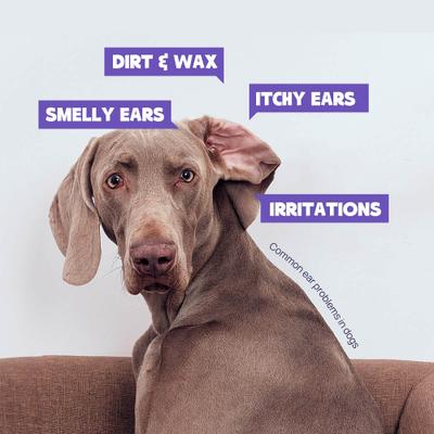 Show full view: HICC PET Antibacterial Ear Rinse with Cotton Swabs, 4-fl oz bottle + Relief Ear Finger Dog Cat & Small Pet Wipes slide 4 of 9