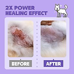 HICC PET Deodorizing Glove Wipes, 20 count + 2X Power Wound & Antimicrobial Cat & Dog Skin Treatment Spray, 10.1-oz bottle slide 2 of 9