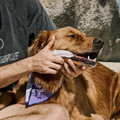 Show full view: HICC PET Oral Care Dental Spray, 5.1-oz bottle + Finger Glove Cat & Dog Dental Wipes, 50 count slide 8 of 8