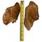 Show in main carousel: HDP Large Roasted Pig Ears Dog Chews, 25 count slide 4 of 4