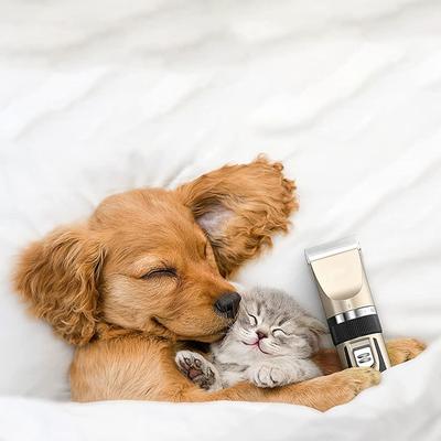 Show full view: Fido Fave Low Noise Rechargeable Cordless Electric Quiet Pet Hair Clippers & Paw Trimmer Set slide 4 of 9