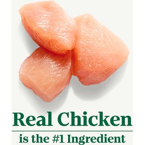 Nutro Wholesome Essentials Chicken & Brown Rice Recipe Indoor Dry Cat Food, 14-lb bag