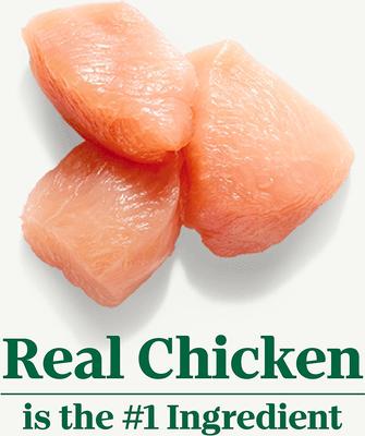 Show full view: Nutro Wholesome Essentials Chicken & Brown Rice Recipe Indoor Dry Cat Food, 14-lb bag slide 4 of 10