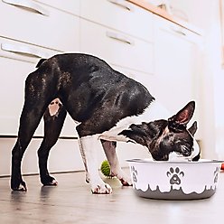 Maslow Design Series Paw Design Non-Skid Stainless Steel Dog Bowl, Pink/White, 6.75-cup slide 2 of 2