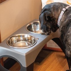 Maslow Multi-Pack Elevated Dog Bowl, Grey/Black, X-Large slide 2 of 6