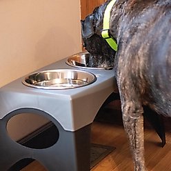Maslow Multi-Pack Elevated Dog Bowl, Grey/Black, Medium slide 2 of 6