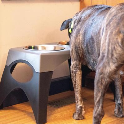 Show full view: Maslow Multi-Pack Elevated Dog Bowl, Grey/Black, Large slide 3 of 6