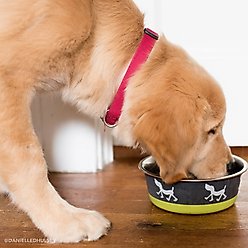 Maslow Design Series Pup Design Non-Skid Stainless Steel Dog Bowl, 6.75-cup, Pink/Grey slide 2 of 5