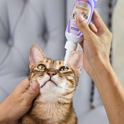 Show full view: HICC PET Gentle Antimicrobial Eye Rinse, 5.1-fl oz bottle + Hypoallergenic Dog & Cat Eye Wipes, 100 count slide 4 of 9