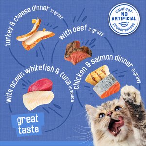 Best budget cat food best sale